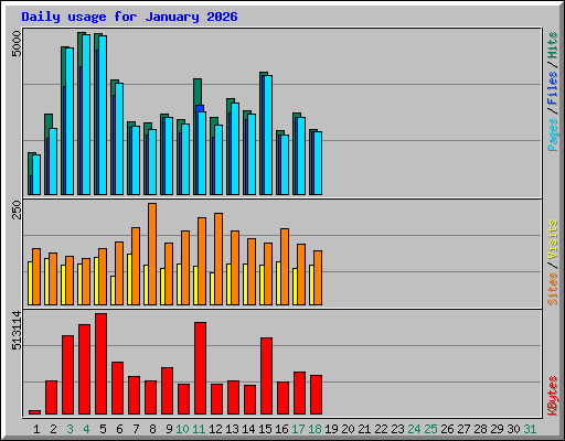 Daily usage for January 2026