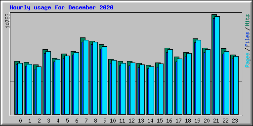 Hourly usage for December 2020