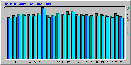 Hourly usage for June 2021