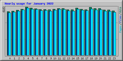 Hourly usage for January 2022