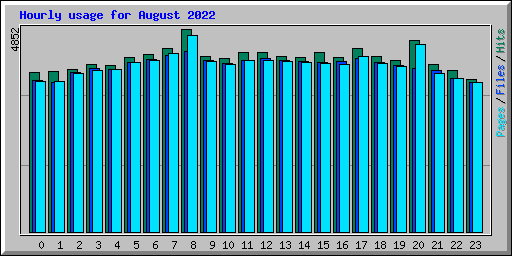 Hourly usage for August 2022