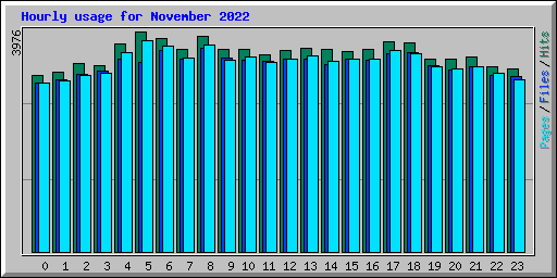 Hourly usage for November 2022