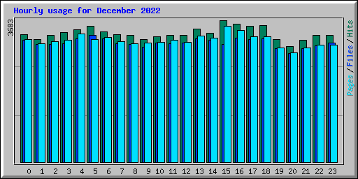 Hourly usage for December 2022