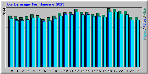 Hourly usage for January 2023