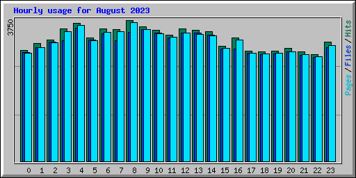 Hourly usage for August 2023