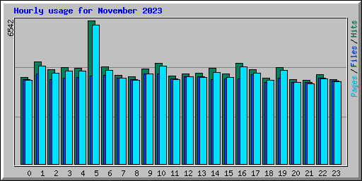 Hourly usage for November 2023