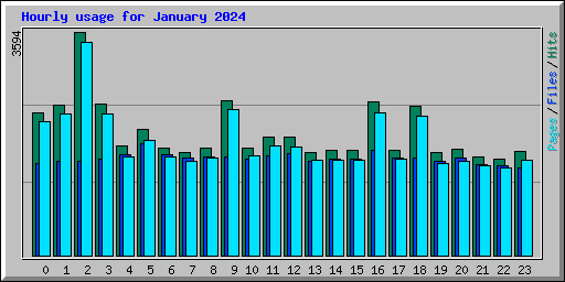 Hourly usage for January 2024