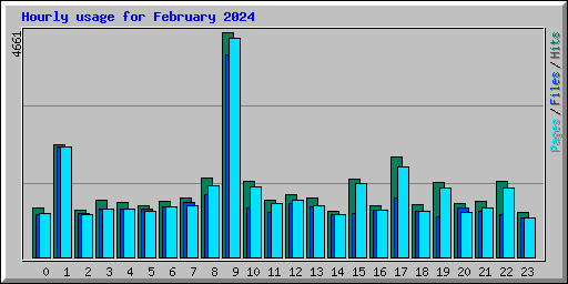 Hourly usage for February 2024