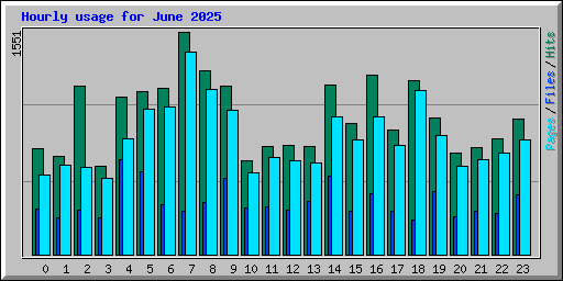 Hourly usage for June 2025