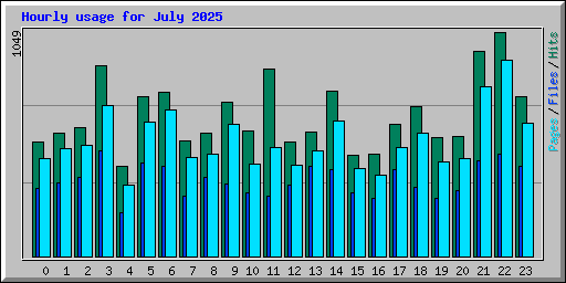 Hourly usage for July 2025