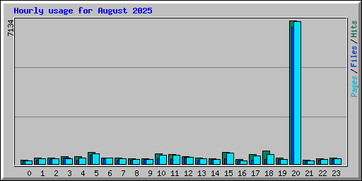 Hourly usage for August 2025