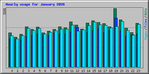 Hourly usage for January 2026