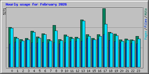 Hourly usage for February 2026
